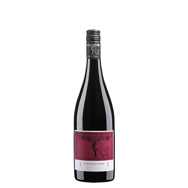 Spätburgunder vom Weingut Friedrich Becker